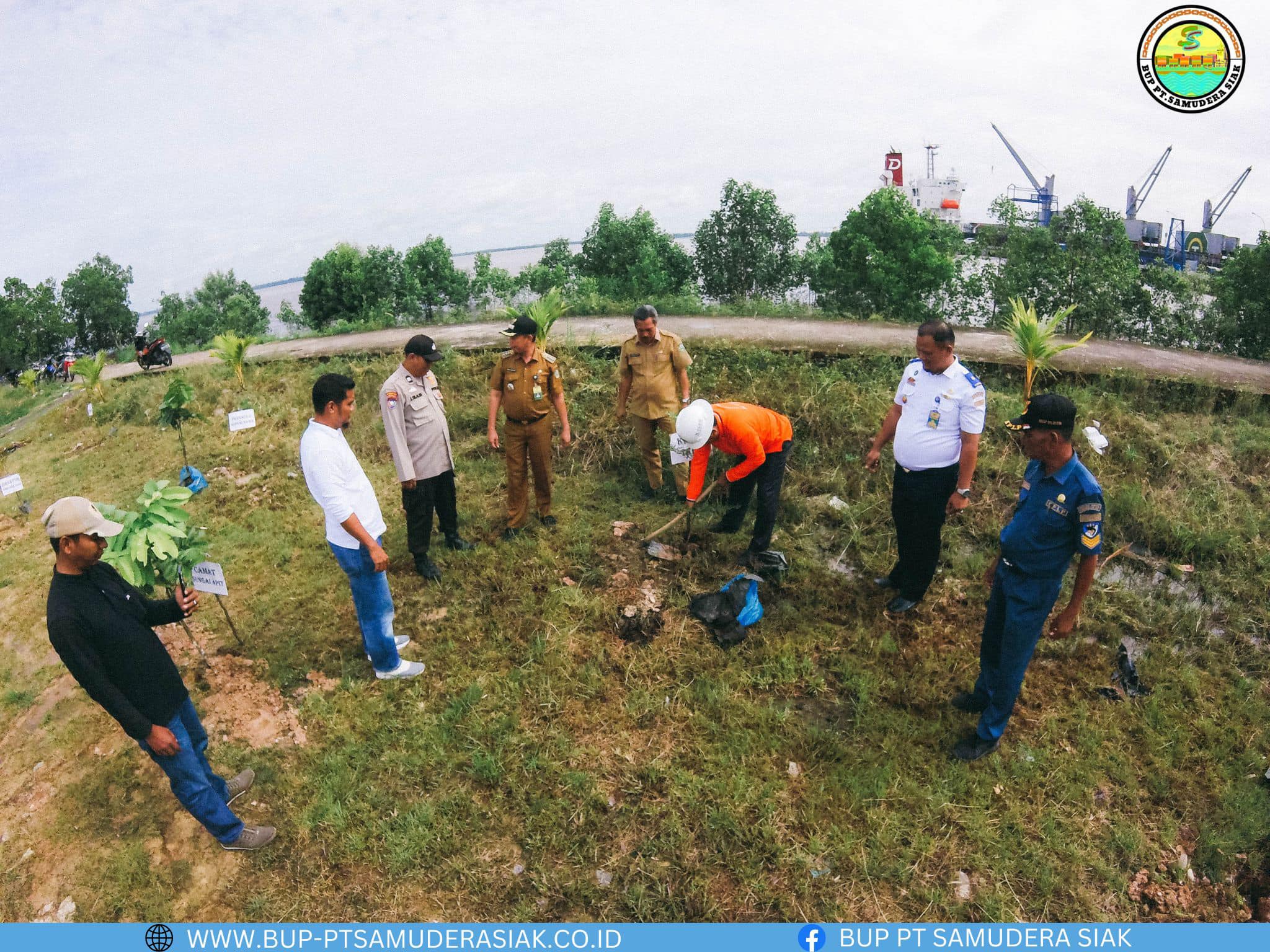 pehijaun-pohon-dalam-bentuk-penanaman-dipelabuhan-industri-buton